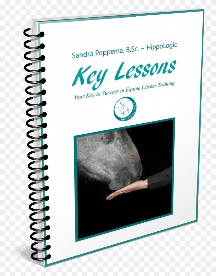 1175x1531 Key Lessons Your Key To Success In Equine Clicker Training Coffee, Text, Diary HD PNG Download