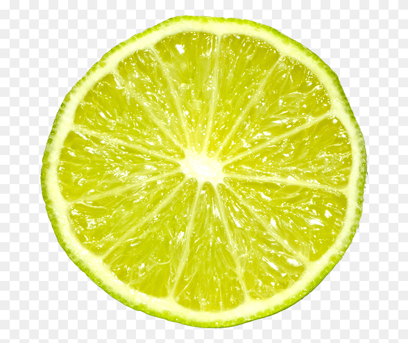 677x648 Key Lime, Citrus Fruit, Fruit, Plant Descargar Hd Png