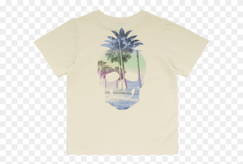 611x508 Kid Raging Desert Palm, Clothing, Apparel, Plant HD PNG Download