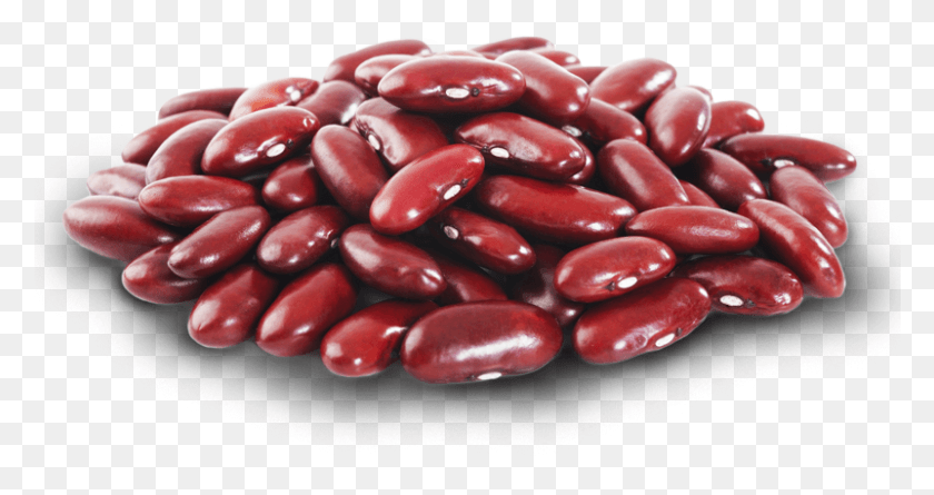 801x396 Kidney Beans Red Beans, Plant, Bean, Vegetable HD PNG Download