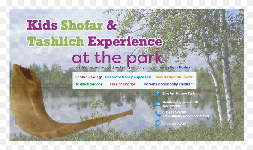 944x531 Kids Shofar Amp Tashlich Experience Tree, Outdoors, Advertisement, Poster HD PNG Download