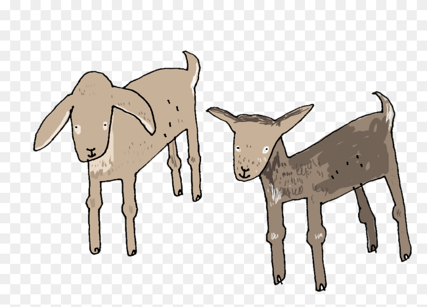 987x690 Kids Transparent Goat Goat, Mammal, Animal, Horse HD PNG Download