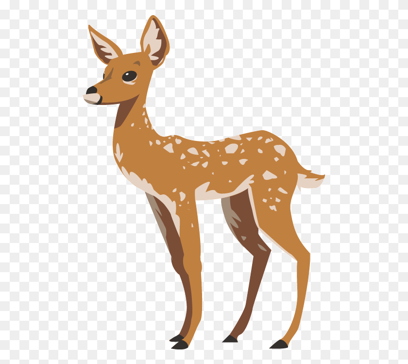 501x689 Kidsfest Deer Roe Deer, Animal, Mammal, Wildlife HD PNG Download
