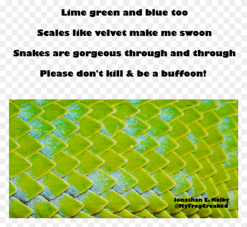 1281x1171 Kill Snakes Too Many People Still Kill Snakes Style, Rug, Path, Flare HD PNG Download