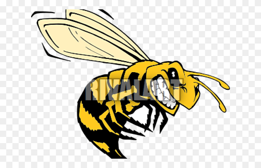 640x480 Killer Bee Clip Art, Wasp, Insect, Invertebrate HD PNG Download