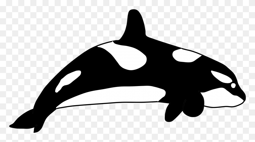 3261x1702 Killer Whale, Moon, Outer Space, Night HD PNG Download