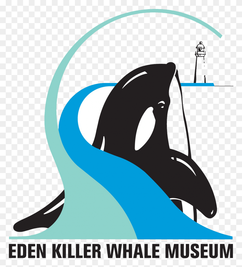 1315x1460 Killer Whale, Graphics, Animal HD PNG Download