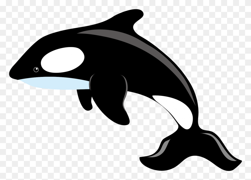 1488x1038 Killer Whale Blue Whale Clip Art Killer Whale Clipart, Stencil, Pillow, Cushion HD PNG Download