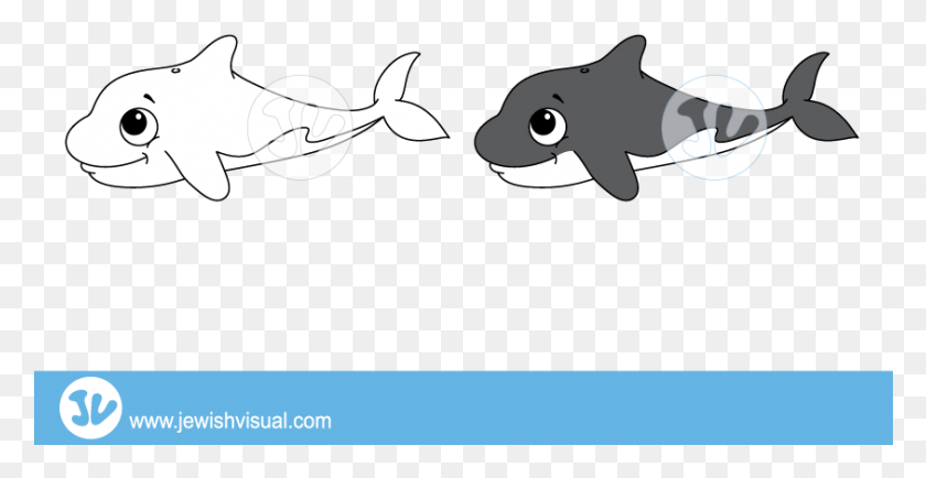 843x405 Png Косатка Акула, Животное, Морская Жизнь, Млекопитающее Png Скачать