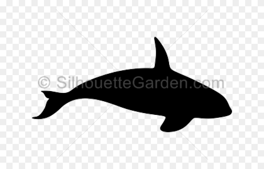 640x480 Killer Whale Clipart Silhouette Killer Whale Silhouette, Sea Life, Animal, Mammal HD PNG Download