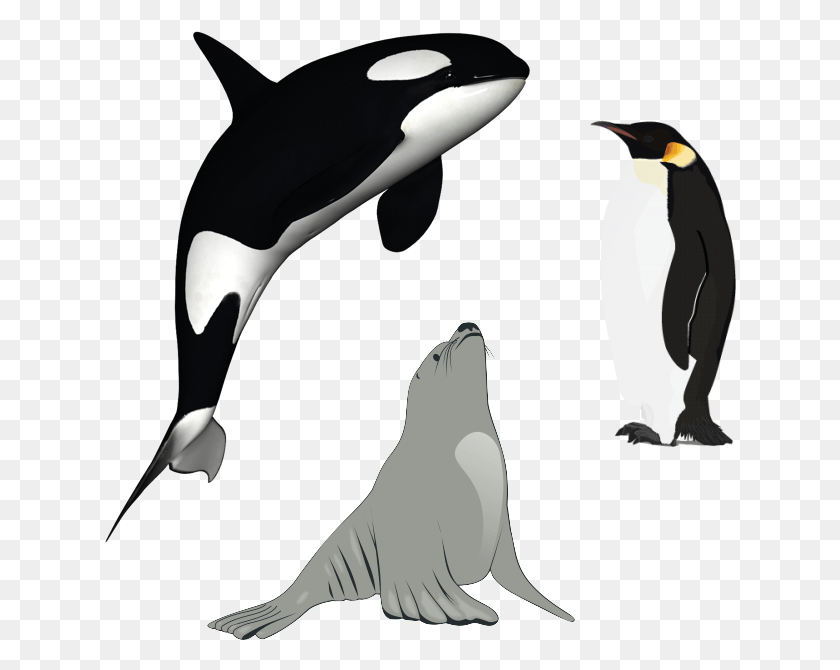 632x610 Pingüino Png / Pingüino Hd Png