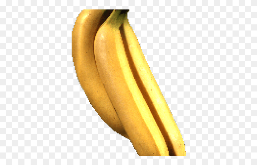 379x481 Killzone Clipart Banana Peel, Planta, Fruta, Alimentos Hd Png