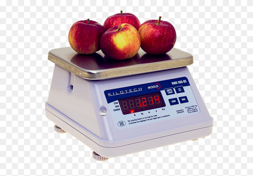 583x523 Kilotech Kwd 500 Bench Scale Apple, Fruit, Plant, Food HD PNG Download