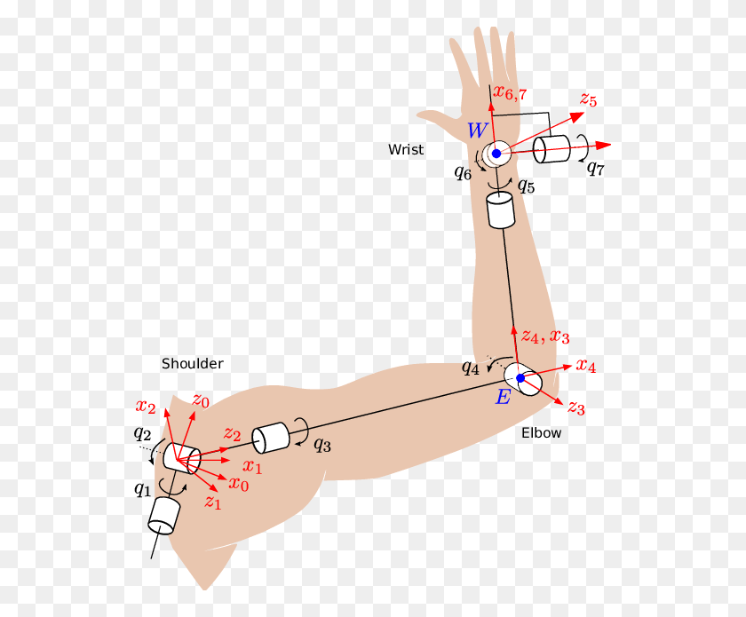 537x635 Кинематическая Модель Иллюстрации Руки Человека, Сюжет, Диаграмма, Лук Hd Png Скачать