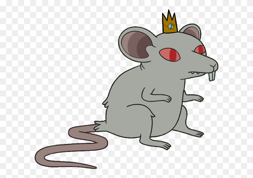 611x530 King Adventure Time Wiki Fandom Powered By Rat With A Crown, Mammal, Animal, Wildlife HD PNG Download