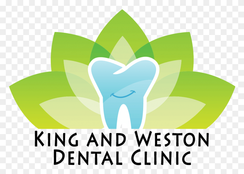 800x551 King And Weston Dental Illustration, Graphics, Ice HD PNG Download
