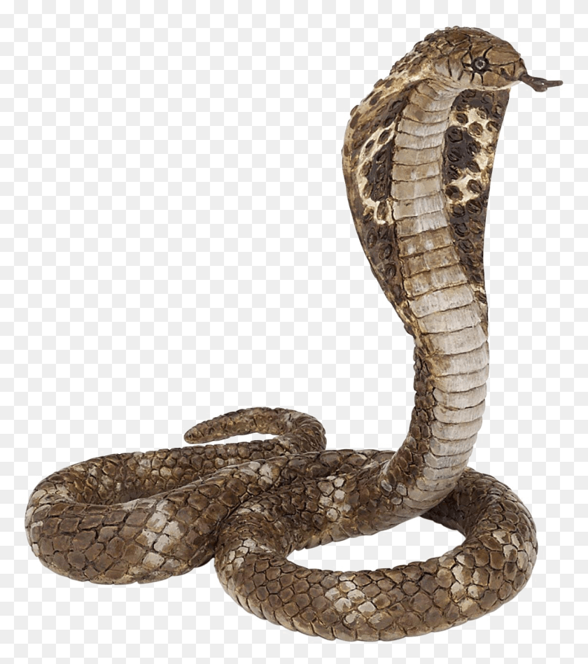 1137x1297 King Cobra Clipart Papo King Cobra, Serpiente, Reptil, Animal Hd Png