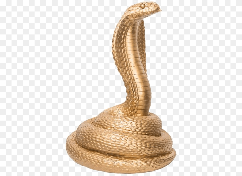 401x613 King Cobra Photo Cobra Snake, Animal, Reptile Sticker PNG