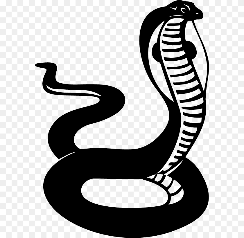 King Cobra Sticker, Stencil, Animal, Reptile, Snake PNG