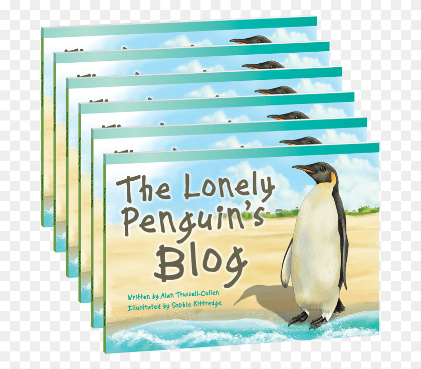 675x675 King Penguin, Bird, Animal, King Penguin HD PNG Download