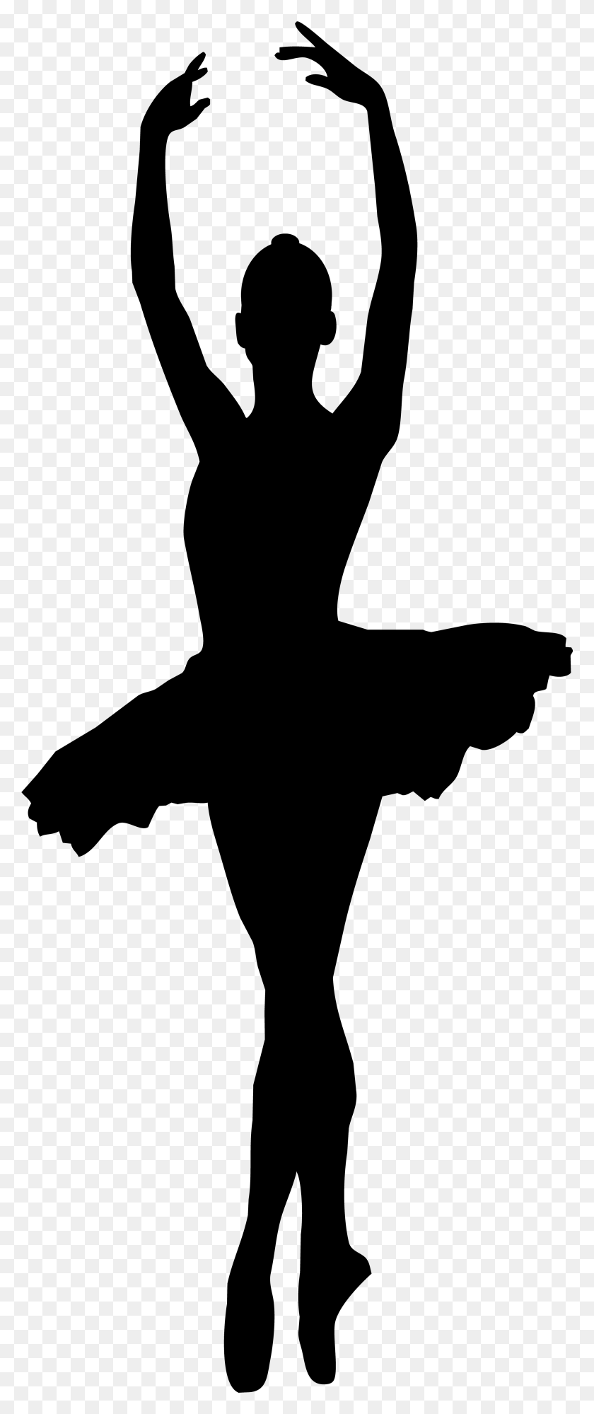 3187x7923 Kingaroy Silhouette Drawdy Dance School Ballet Dancer Transparent Background Ballerina, Gray, World Of Warcraft HD PNG Download
