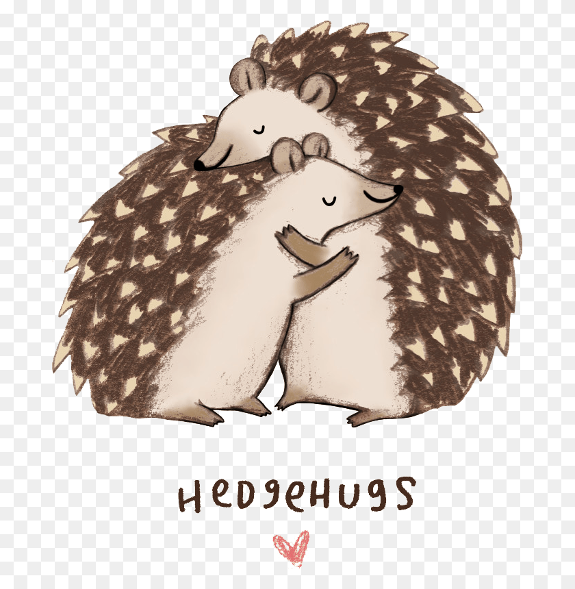 687x800 Kingdom Of Hedgehugs Get Well Soon Hedgehog, Cushion, Mammal, Animal HD PNG Download
