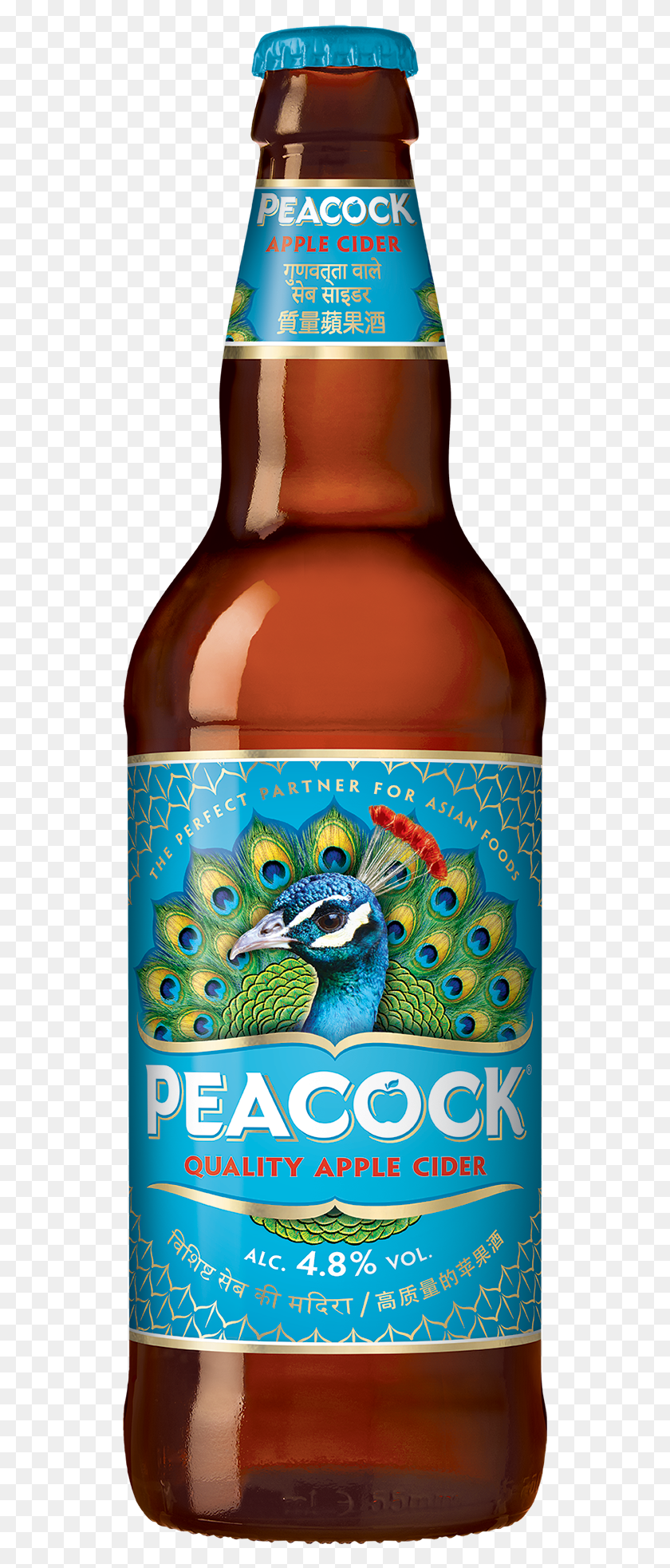 533x1905 Kingfisher Beer Launches New Asian Cider Into The Uk Peacock Beer, Alcohol, Beverage, Drink HD PNG Download