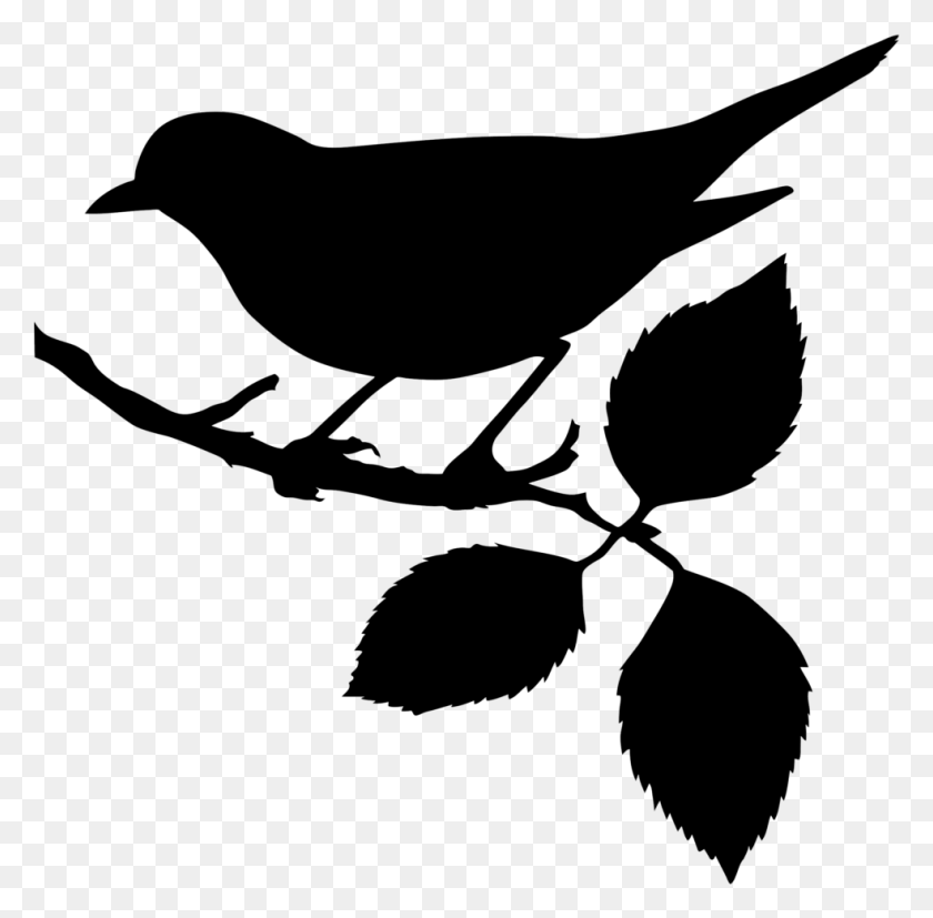 983x967 Зимородок Птица На Ветке Картинки, Текст, Фотография Hd Png Скачать