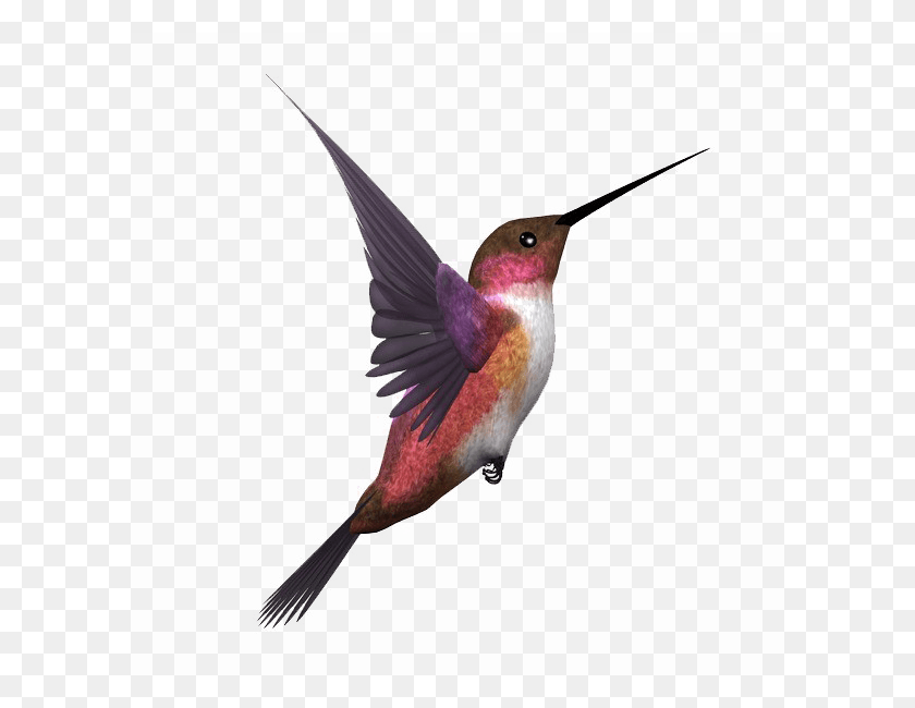 600x590 Kingfisher Bird Transparent Image Flying Birds Bird, Animal, Hummingbird, Bee Eater HD PNG Download