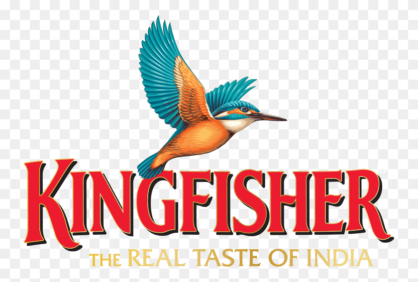 744x507 Kingfisher Logo Kingfisher Premium Logo, Bird, Animal, Bee Eater HD PNG Download