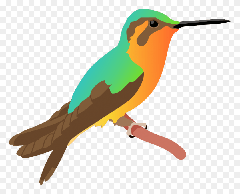 883x699 Kingfisher Poster Ruby Throated Hummingbird, Bee Eater, Bird, Animal HD PNG Download