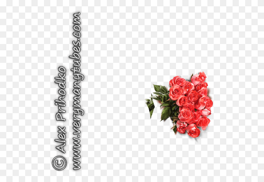 518x519 Кира 3 Искусственный Цветок, Растение, Цветок, Букет Цветов Hd Png Скачать