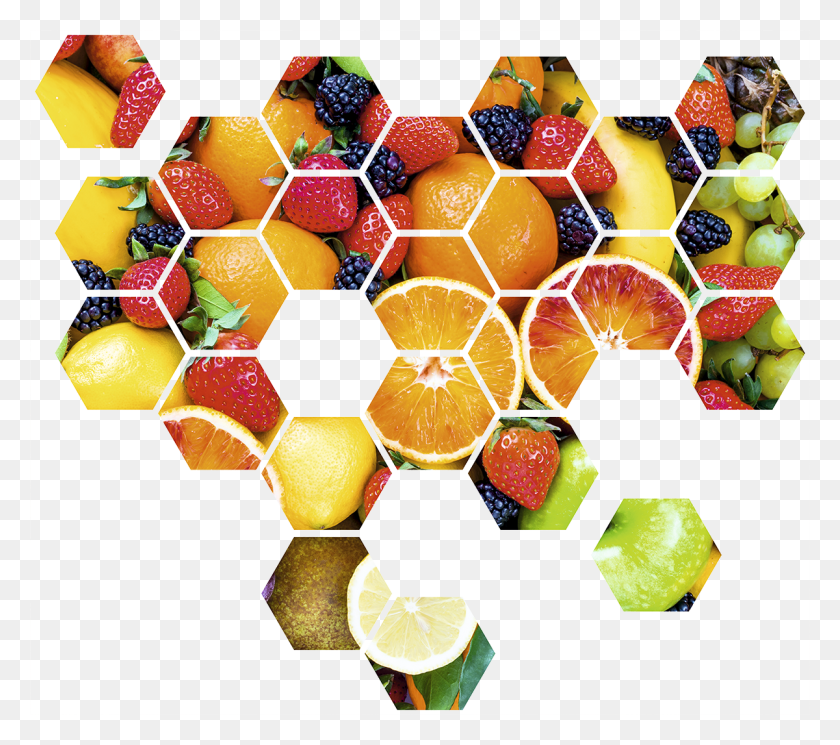 1200x1055 Kit Geomtrico Frutas, Цитрусовые, Фрукты, Растение Hd Png Скачать