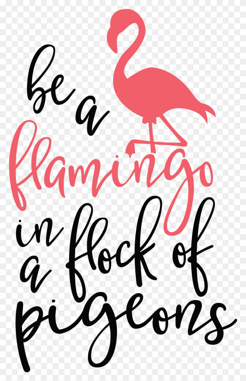 849x1351 Kitchen Svg Lick The Spoon Flamingo In A Flock Of Pigeons Svg, Text, Animal, Bird HD PNG Download