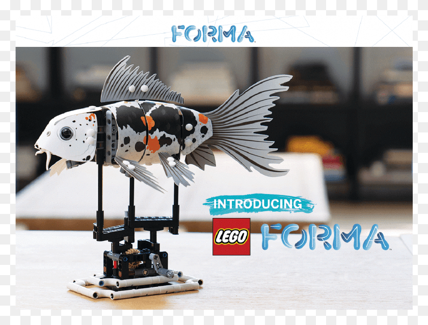 1281x950 Kitle Fonlamal Lego Yaklamnn Lk Lego Forma, Птица, Животное, Рыба Hd Png Скачать