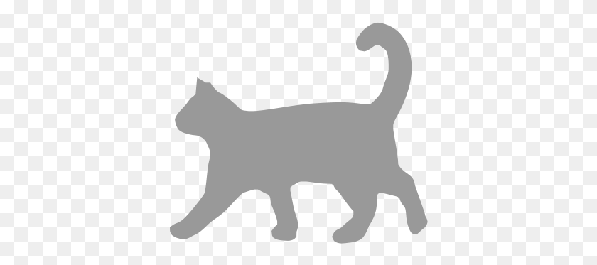 364x313 Котенок Черная Кошка, Животное, Млекопитающее, Домашнее Животное Hd Png Скачать