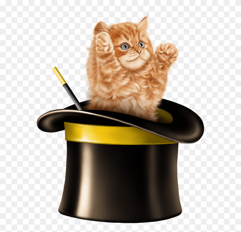 585x746 Kitten Cartoon Kitten Images Cats And Kittens Tube Cat In Magic Hat, Pet, Mammal, Animal HD PNG Download