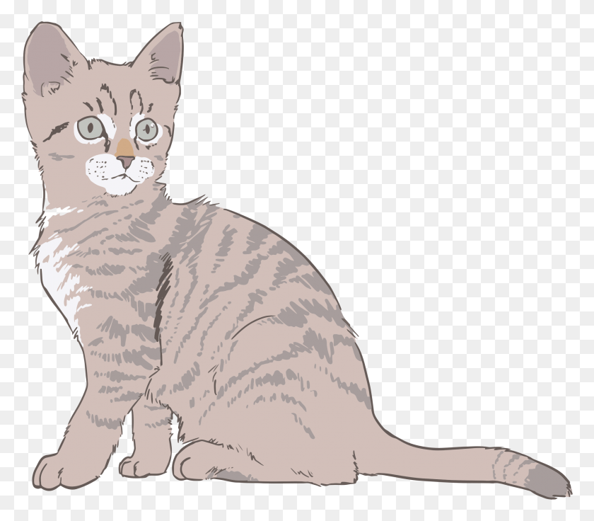 2231x1934 Gatito Png / Dominio Público Png