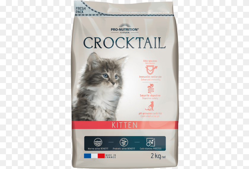 Kitten Hrana Za Malki Kotki, Animal, Cat, Mammal, Pet PNG