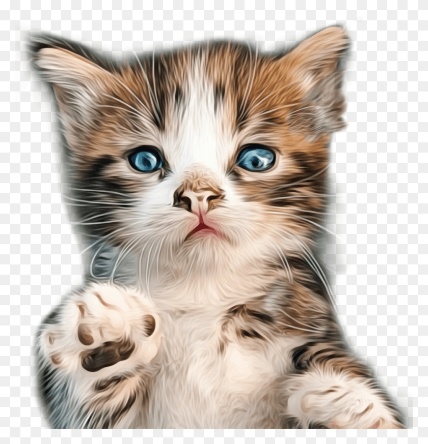 1024x1068 Kitten Sticker Cat, Pet, Mammal, Animal HD PNG Download