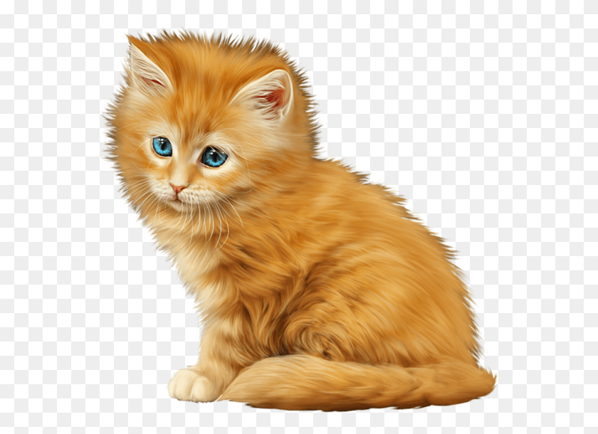 563x550 Kitty Domestic Long Haired Cat, Kitten, Pet, Mammal HD PNG Download