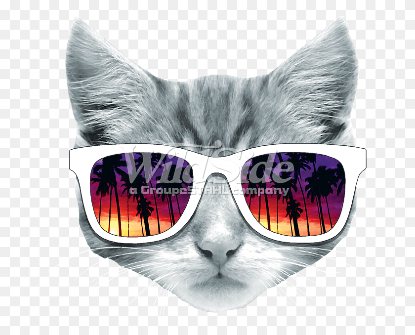655x618 Kitty With Sun Glasses Cat Face Transparent Background, Accessories, Accessory, Sunglasses HD PNG Download