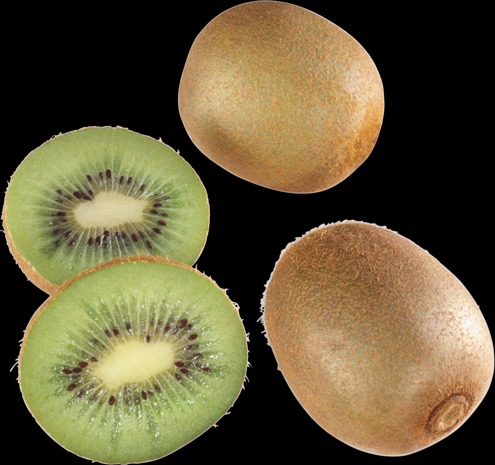 1600x1504 Kiwi Pictures Without Background, Plant, Fruit, Food HD PNG Download