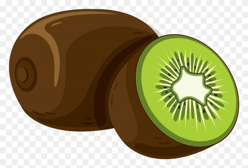 1954x1279 Kiwifruit, Plant, Fruit, Food HD PNG Download