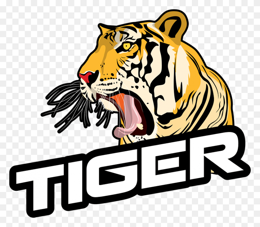 834x720 Kkreyen Kaplan Tiger Logo, La Vida Silvestre, Animal, Mamífero Hd Png