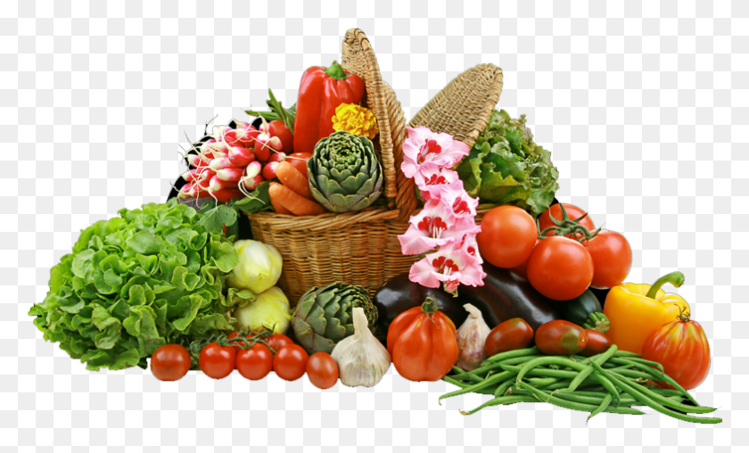 784x451 Knew More Transparent Fruits And Vegetables, Plant, Basket, Vegetable HD PNG Download