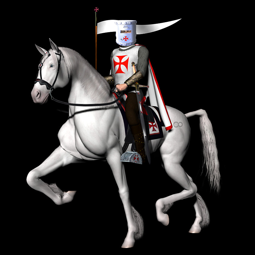 840x840 Knight Images Knight On A White Horse, Mammal, Animal, Person HD PNG Download