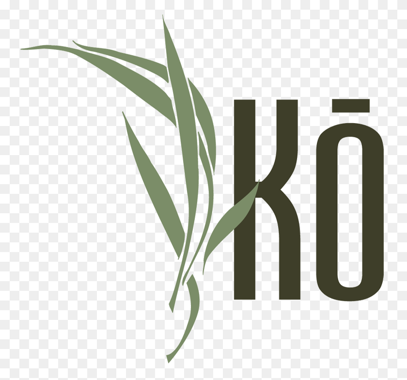 756x724 Ko Illustration, Graphics, Text HD PNG Download