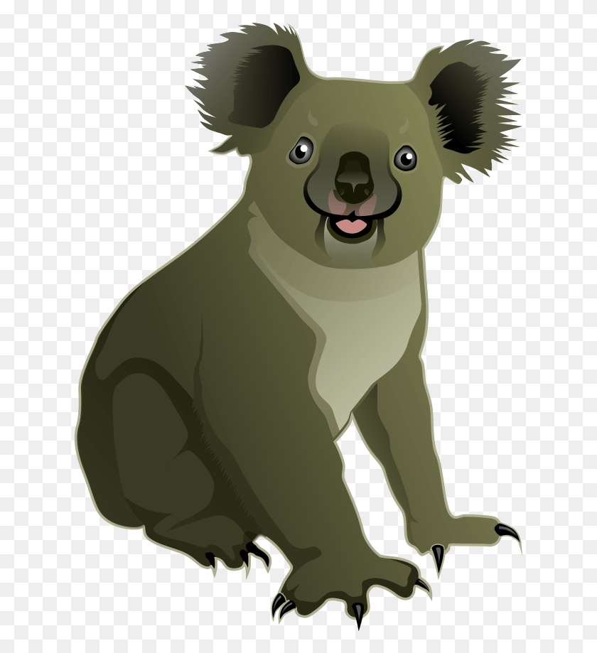 633x859 Koala, Mammal, Animal, Wildlife HD PNG Download