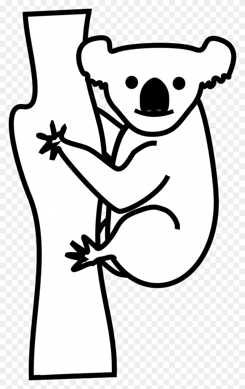 784x1280 Koala Bear Animal Climb Image Koala Clipart Black And White, Stencil, Cupid, Baby HD PNG Download